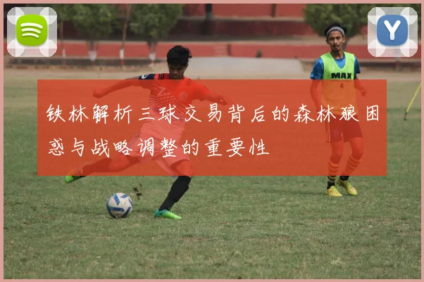 铁林解析三球交易背后的森林狼困惑与战略调整的重要性